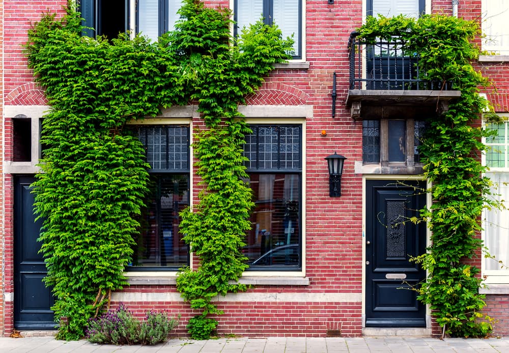 Hoe hoog zijn makelaarskosten in juni 2026?